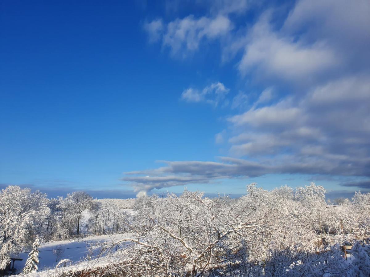 Energetischer Urlaub In Der Eifel Germeter 外观 照片